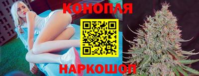 a pvp Сланцы