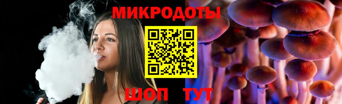 Псилоцибиновые грибы мухоморы Новороссийск